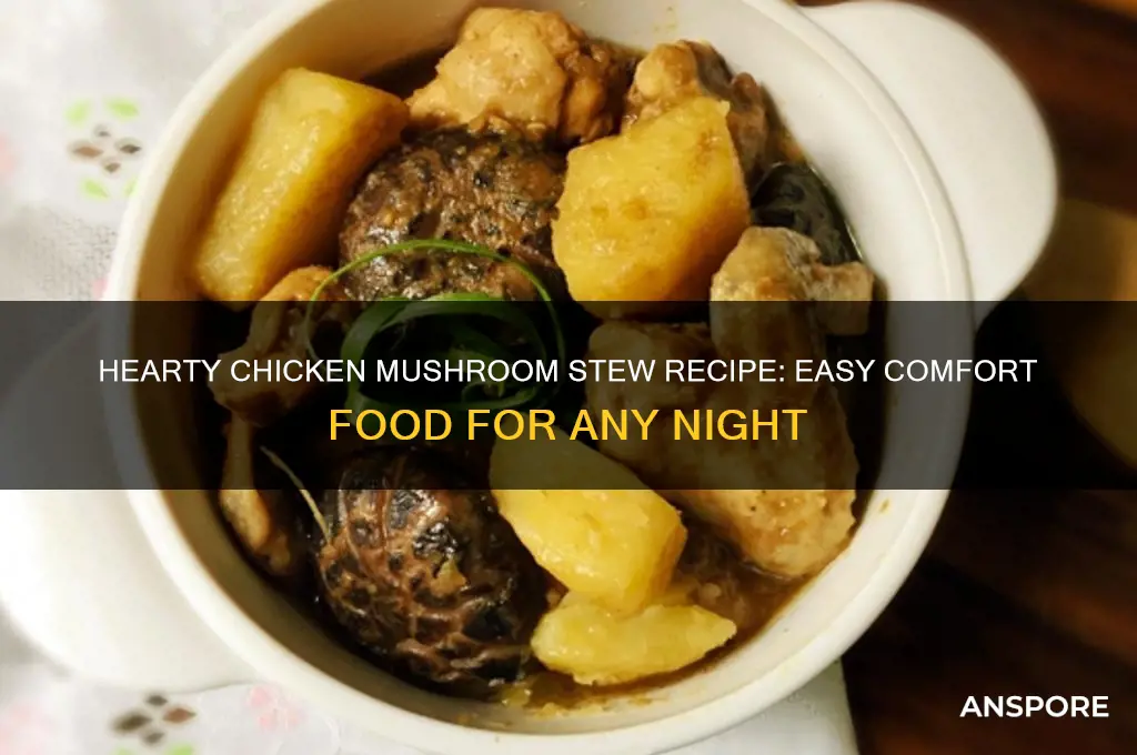 how to make chicken mushroom stew