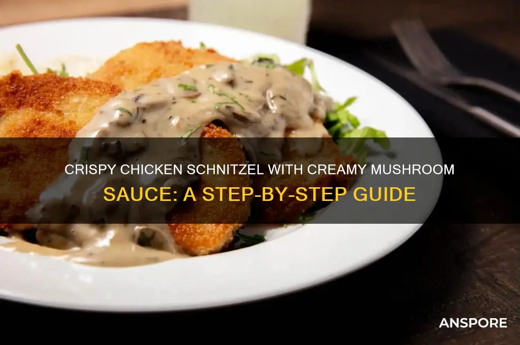 how to make chicken schnitzel with mushroom sauce