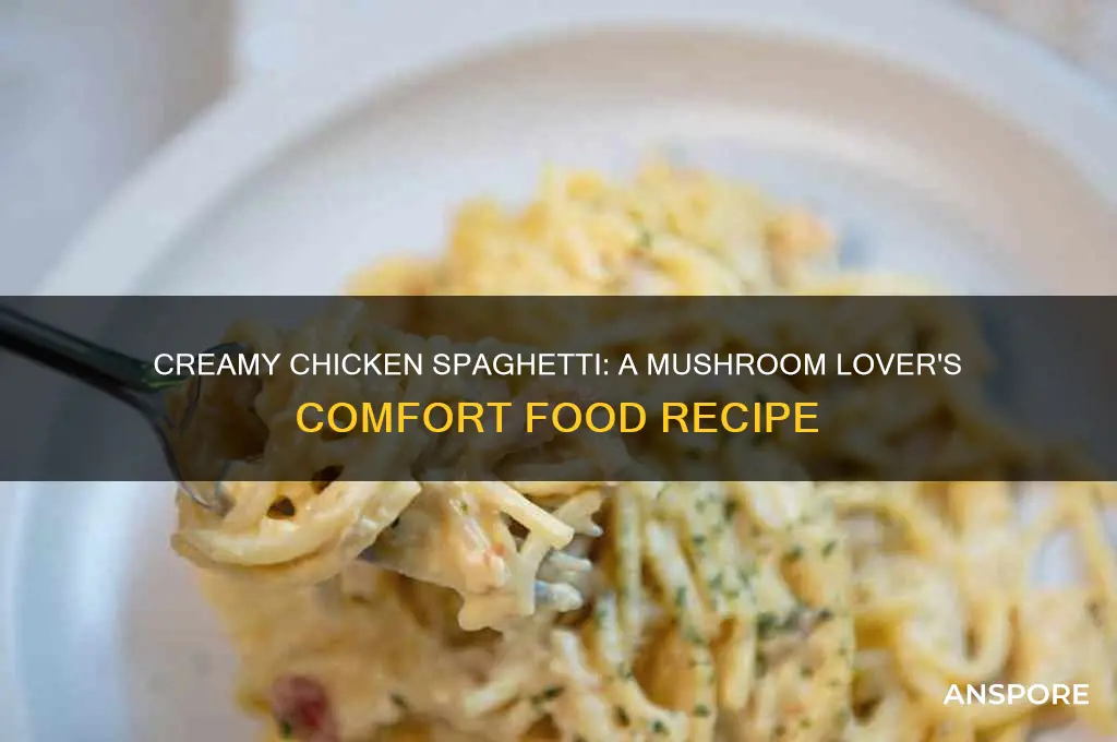 how to make chicken spaghetti with cream of mushroom