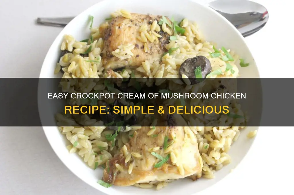 how to make chicken with cream of mushroom in crockpot