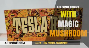 Crafting Psychedelic Chocolate: A Guide to Infusing Magic Mushrooms