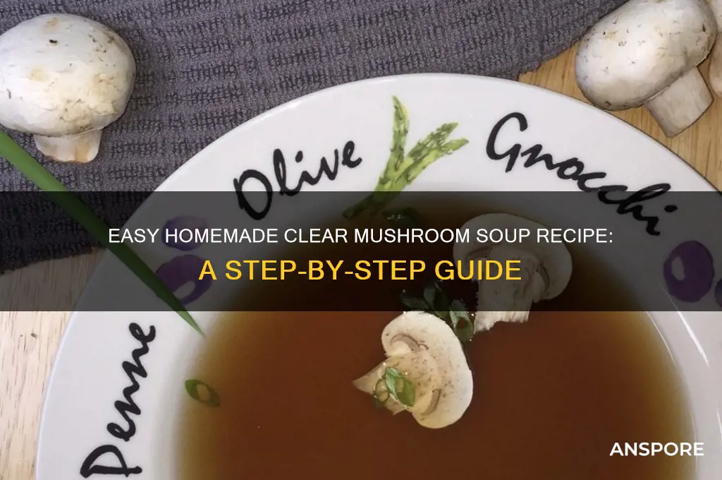 how to make clear mushroom soup at home
