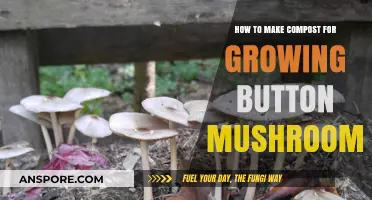 Mastering Mushroom Compost: A Guide to Growing Button Mushrooms