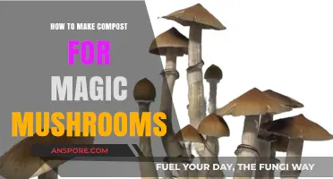 Mastering Compost Creation for Growing Magic Mushrooms at Home