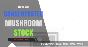 Crafting Rich, Flavorful Concentrated Mushroom Stock: A Step-by-Step Guide