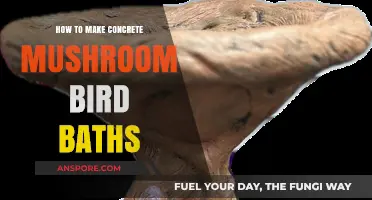 Crafting Concrete Mushroom Bird Baths: A DIY Garden Project Guide