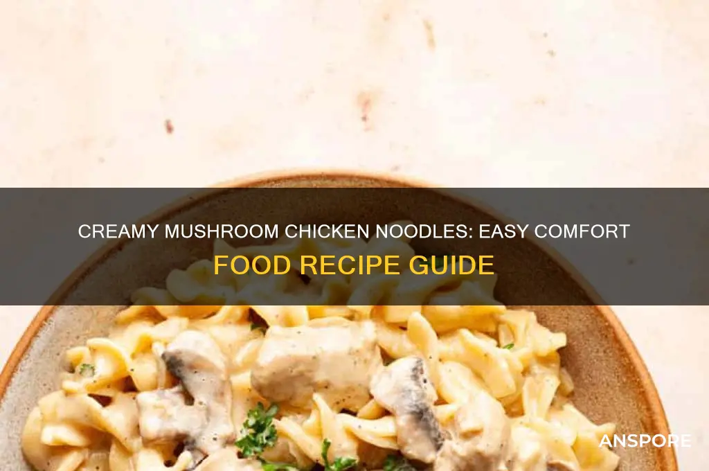how to make cream of mushroom chicken and noodles