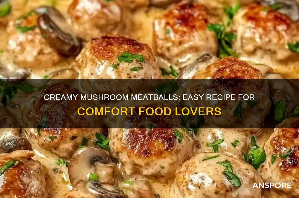 how to make cream of mushroom meatballs