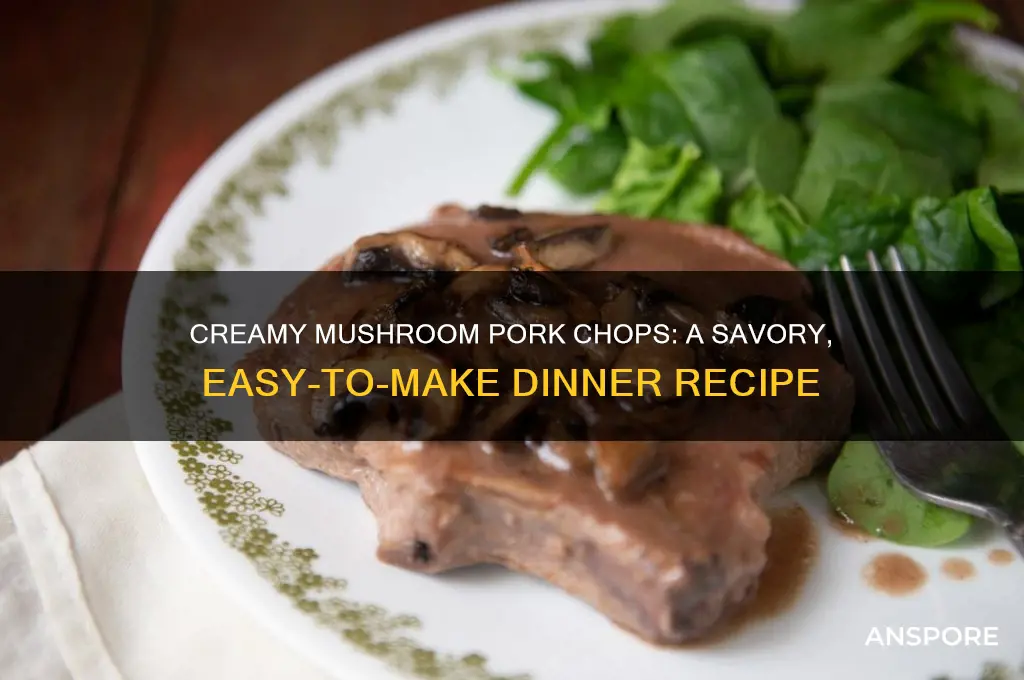 how to make cream of mushroom pork chops