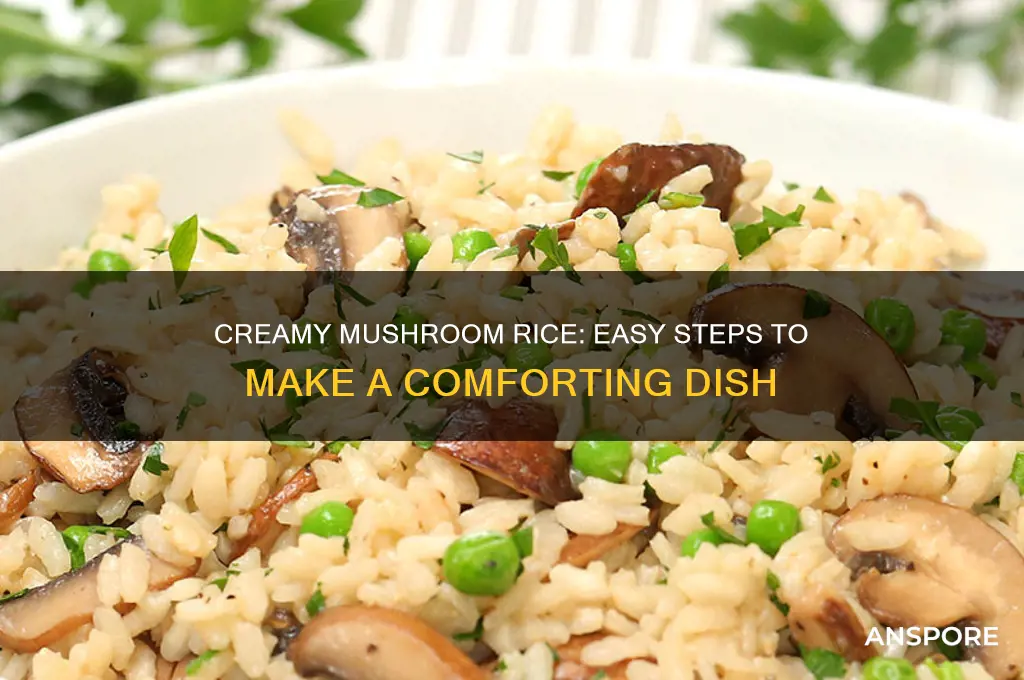 how to make cream of mushroom rice