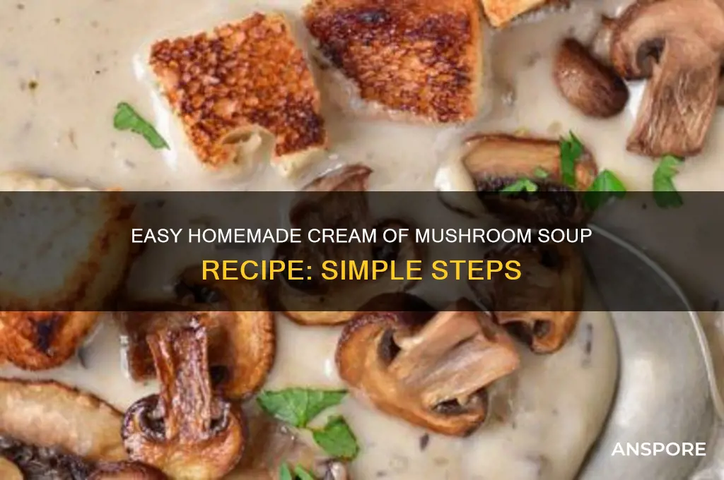 how to make cream of mushroom sou