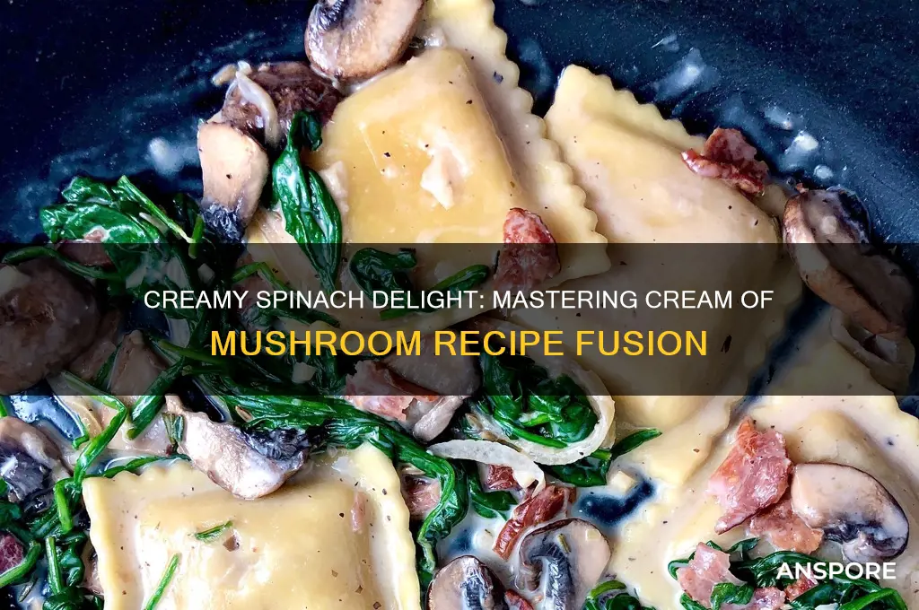 how to make creamed spinach with cream of mushroom