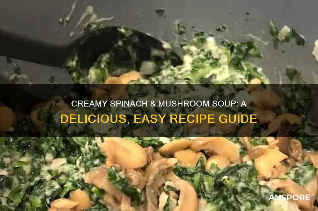 how to make creamed spinach with mushroom soup
