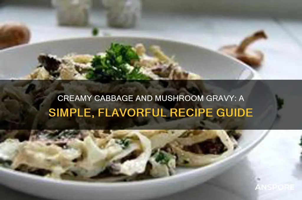 how to make creamy cabbage and mushroom gravy