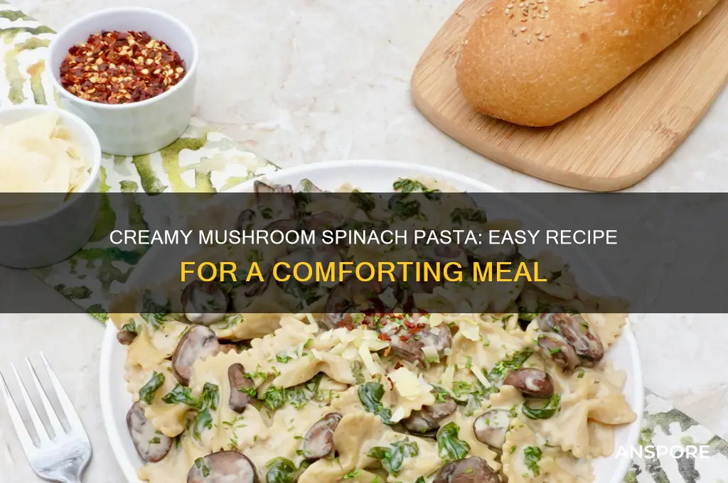 how to make creamy mushroom and spinach pasta