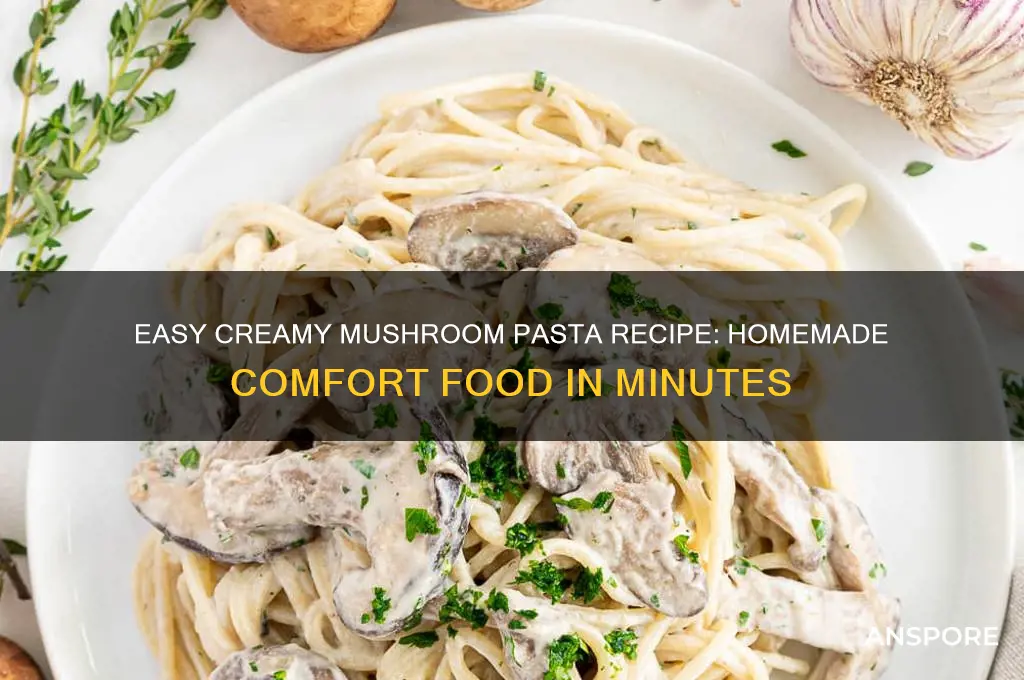 how to make creamy mushroom pasta at home