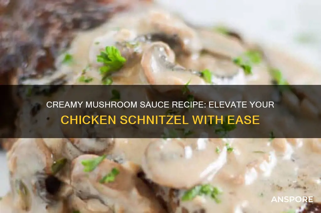 how to make creamy mushroom sauce for chicken schnitzel