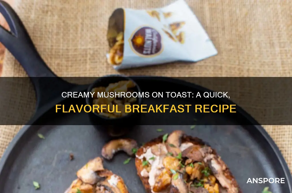 how to make creamy mushrooms on toast