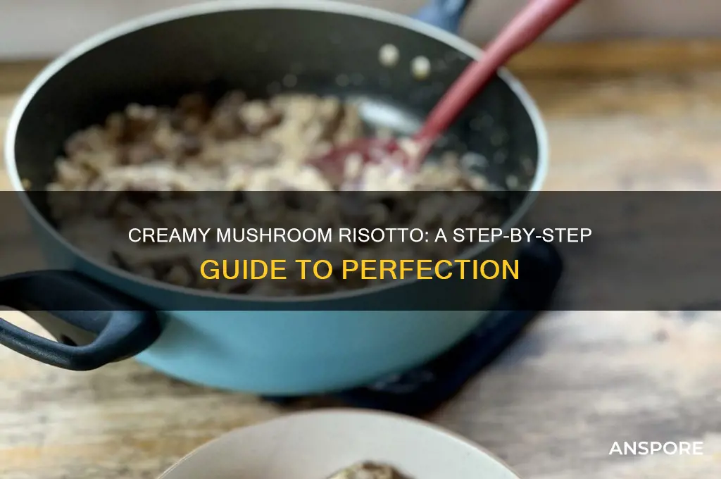 how to make creamy risotto with mushrooms