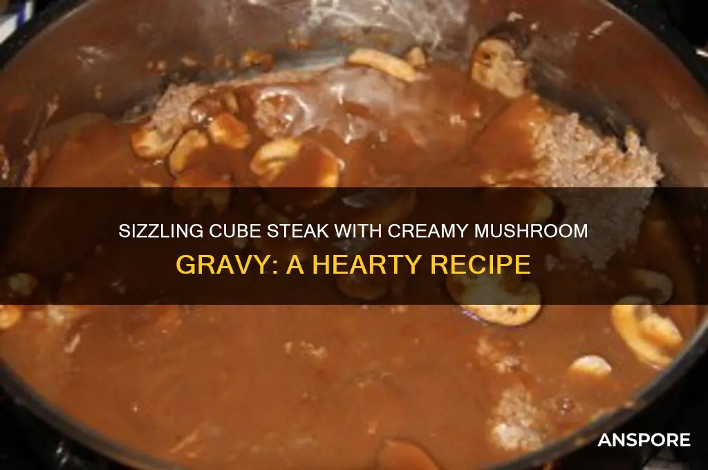 how to make cube steak and mushroom gravy
