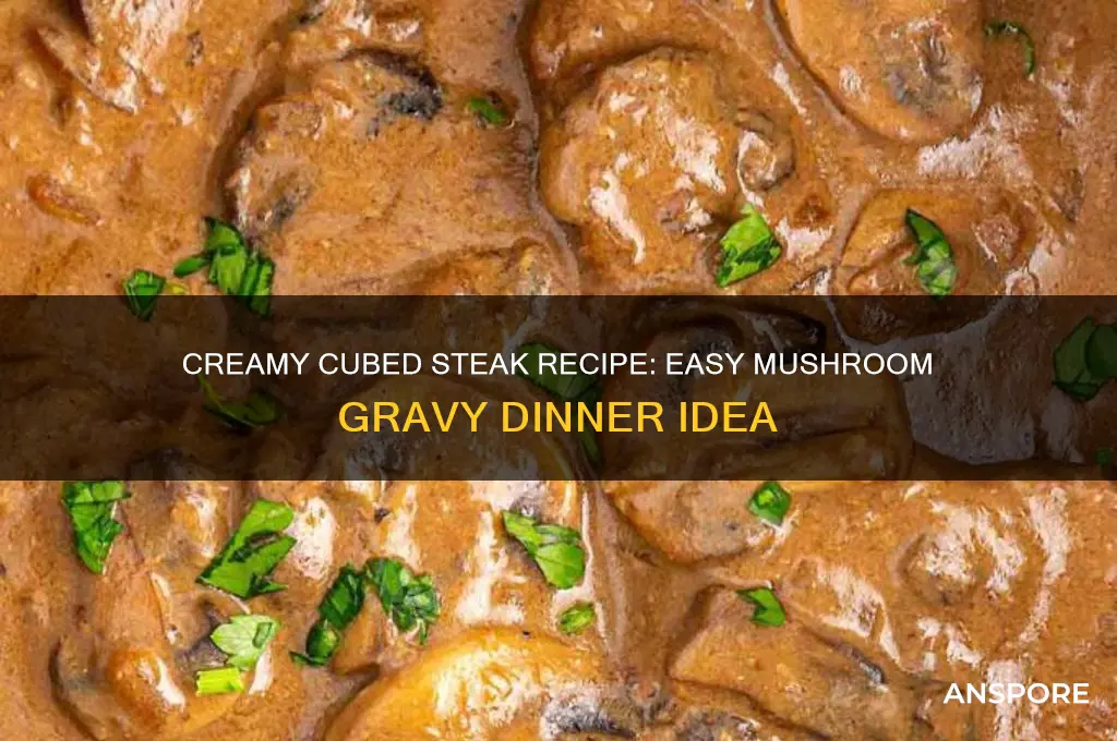 how to make cubed steak with cream of mushroom