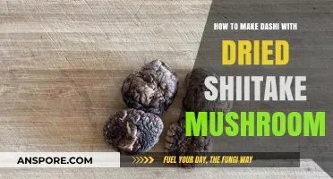 Umami-Rich Dashi: Crafting Flavor with Dried Shiitake Mushrooms