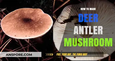Crafting Deer Antler Mushrooms: A Step-by-Step Cultivation Guide