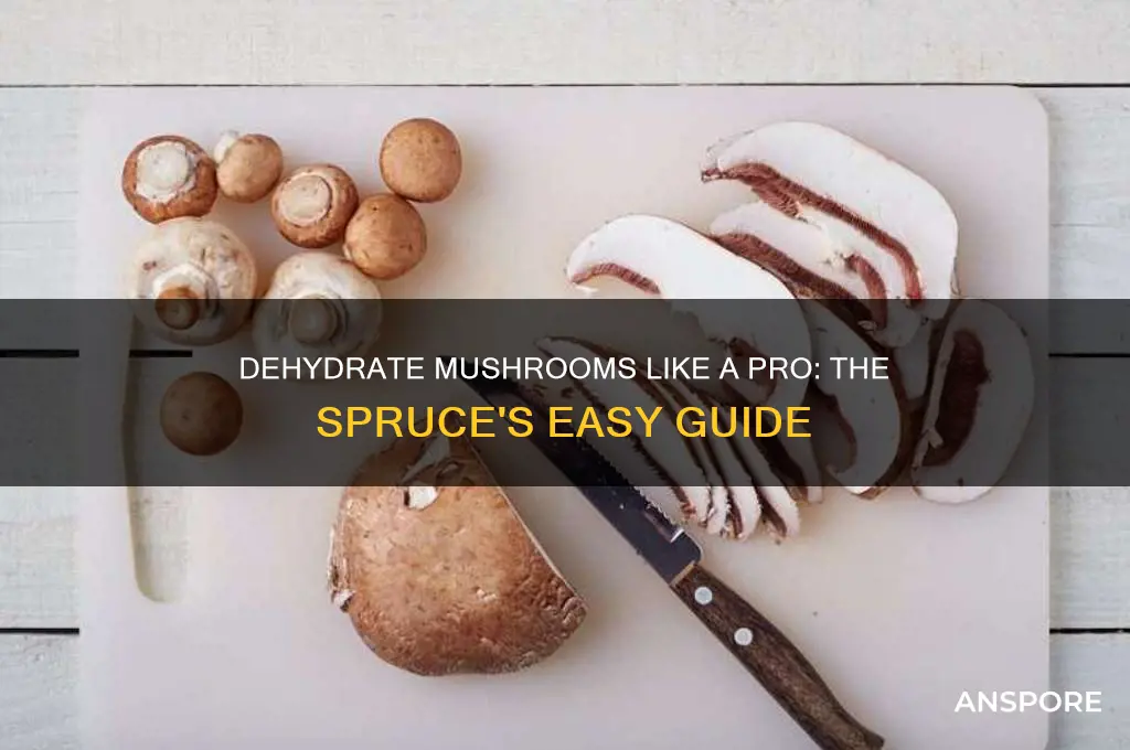 how to make dehydrated mushrooms the sprucethe spruce