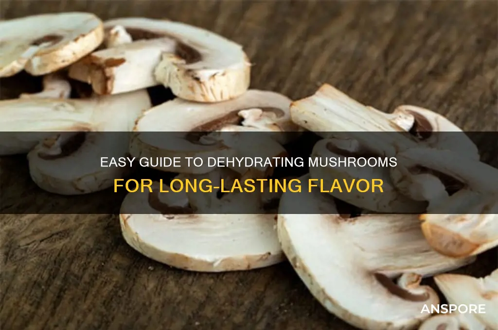 how to make dehydrated mushrooms