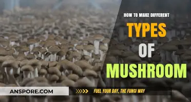 Mastering Mushroom Cultivation: Techniques for Growing Varied Fungal Varieties