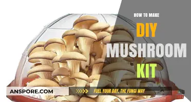 Craft Your Own Mushroom Garden: Easy DIY Kit Guide
