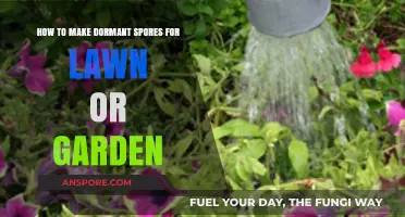 Revitalize Your Lawn: A Guide to Creating Dormant Spores for Gardening