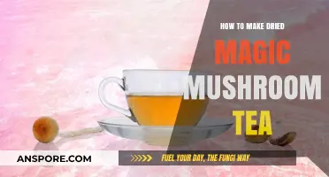 Brewing Bliss: A Simple Guide to Dried Magic Mushroom Tea