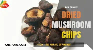 Crispy & Healthy: A Simple Guide to Making Dried Mushroom Chips