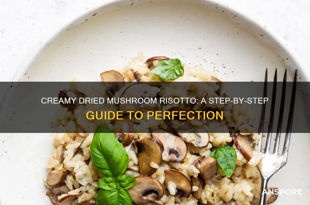 how to make dried mushroom risotto