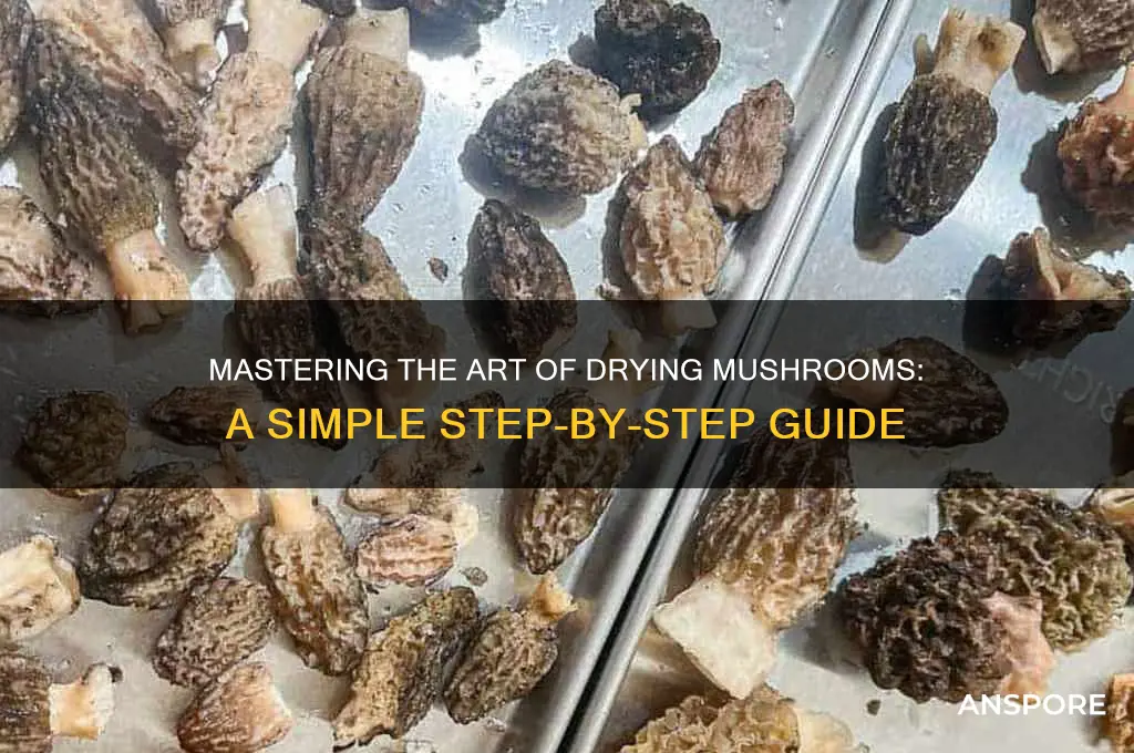 how to make dried mushroom