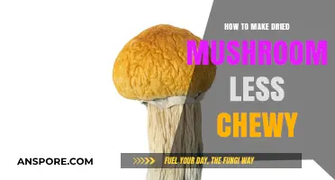 Revive Dried Mushrooms: Simple Tips to Reduce Chewiness and Enhance Texture