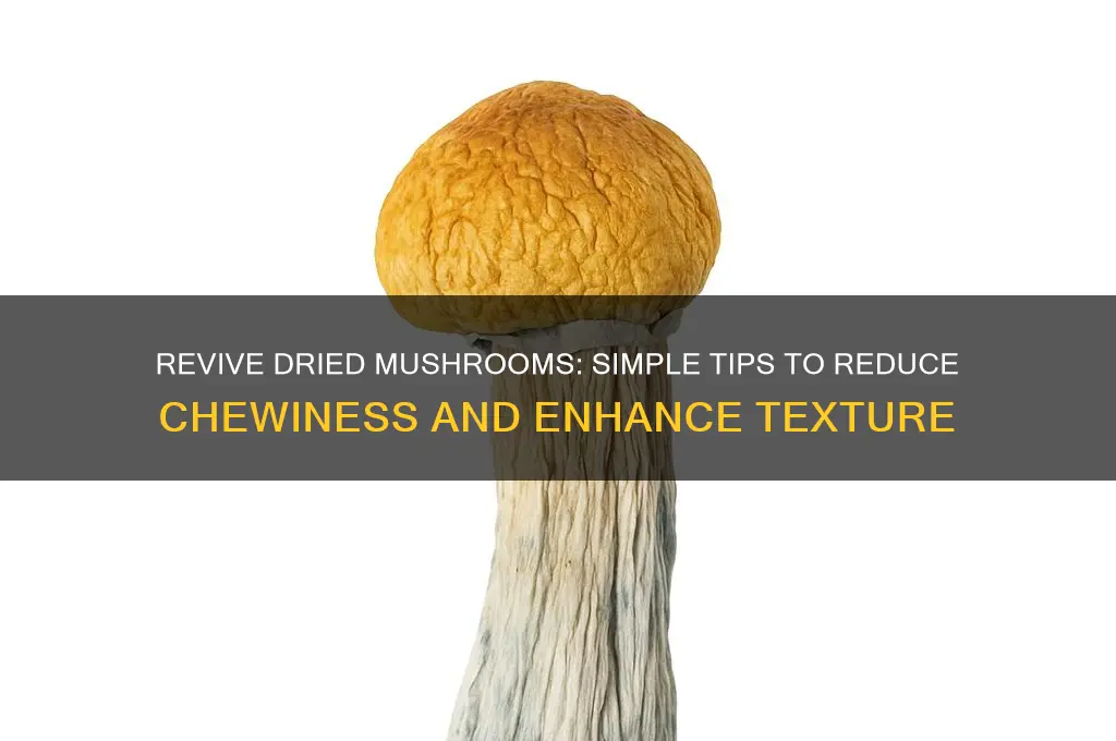 how to make dried mushrooms less chewy