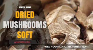 Revive Your Dried Mushrooms: Simple Tips for Restoring Softness and Flavor