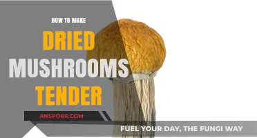 Revive Dried Mushrooms: Simple Techniques for Tender, Juicy Results