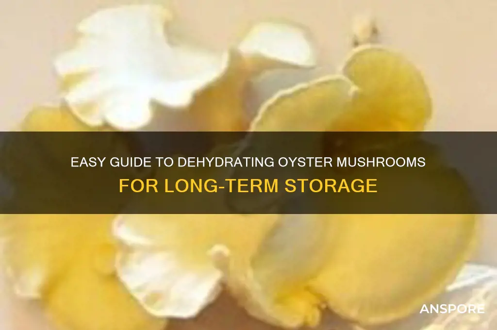 how to make dried oyster mushroom