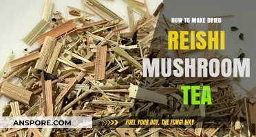Brewing Reishi Mushroom Tea: Simple Steps for Dried Mushroom Infusion