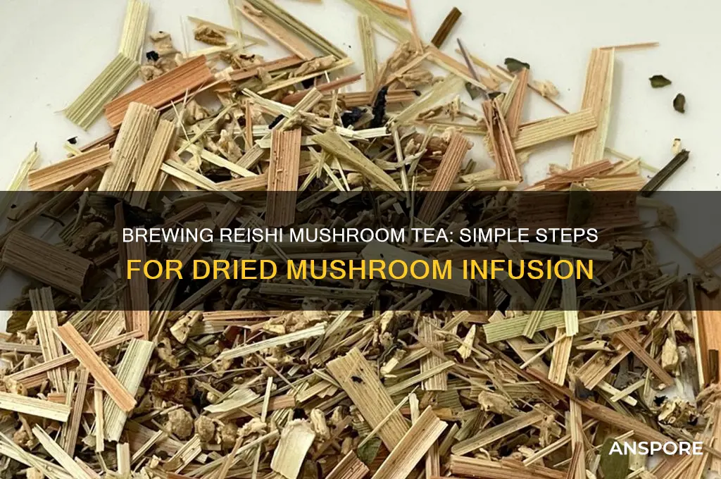 how to make dried reishi mushroom tea