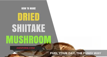 Mastering Dried Shiitake Mushrooms: Simple Steps for Perfect Preservation