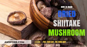 Mastering Dried Shiitake Mushrooms: Simple Steps for Perfect Preservation