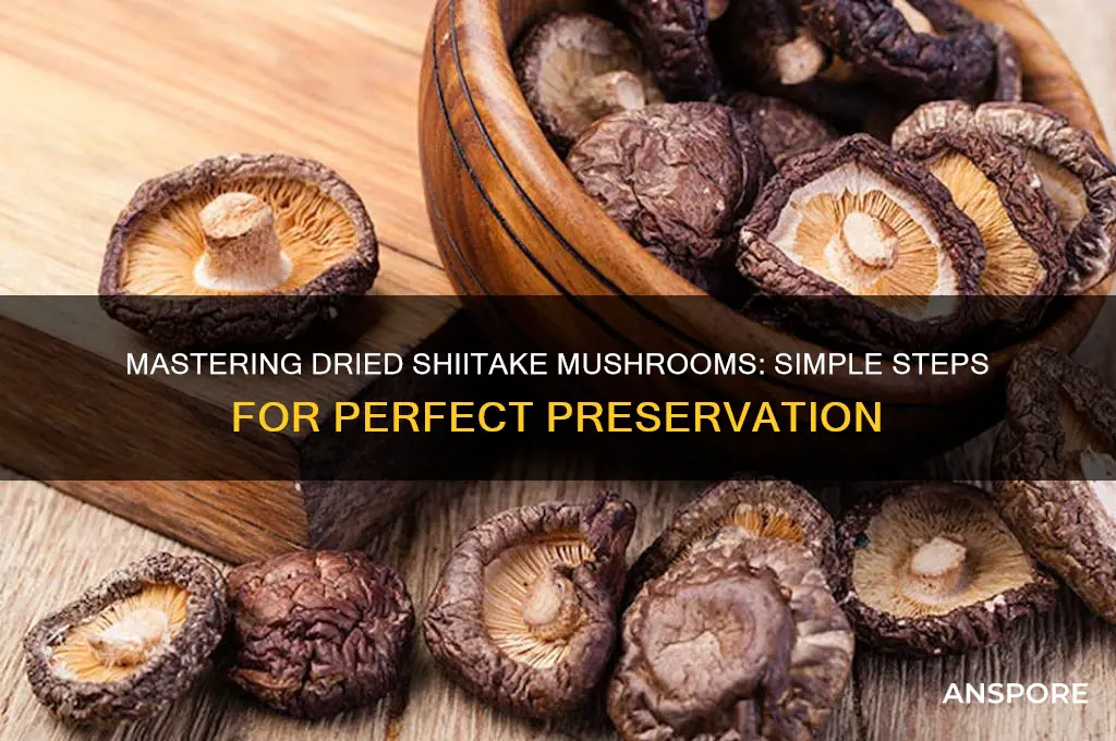how to make dried shiitake mushrooms