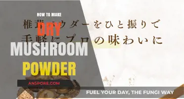 Easy Homemade Dry Mushroom Powder: A Flavorful Kitchen Essential