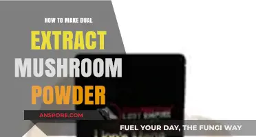 Mastering Dual Extract Mushroom Powder: Simple Steps for Potent Results