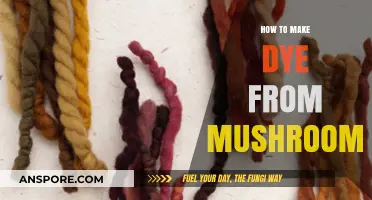 Crafting Natural Mushroom Dyes: A Step-by-Step Guide for Beginners