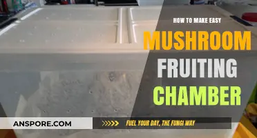 Simple DIY Mushroom Fruiting Chamber Setup for Beginners